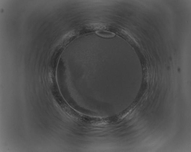 X0000071760643200606301131