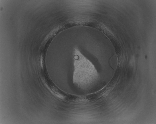 X0000071760644200606301131