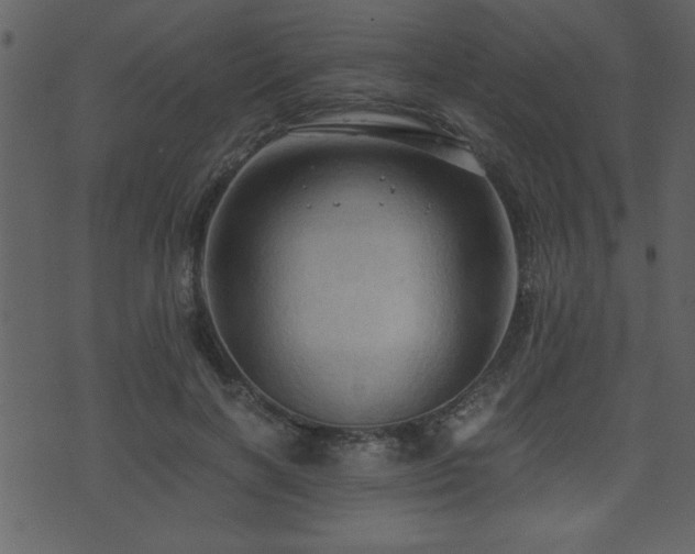 X0000071760646200606301131