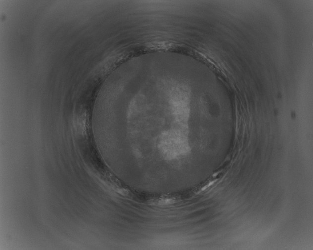 X0000071760647200606301131