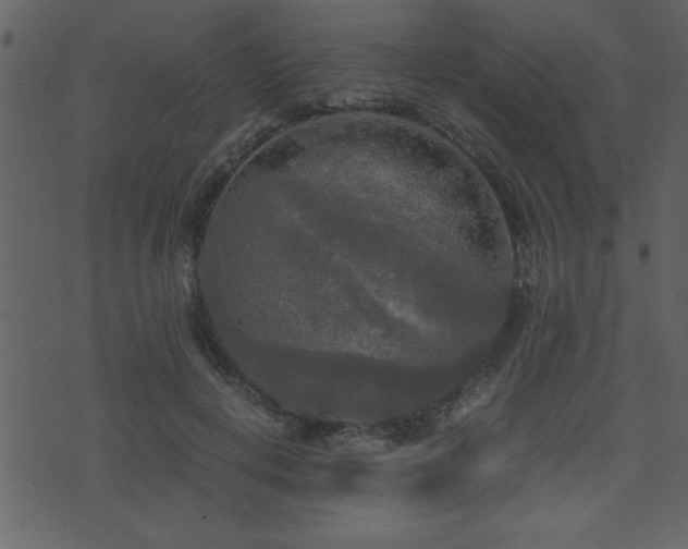 X0000071760648200606301131