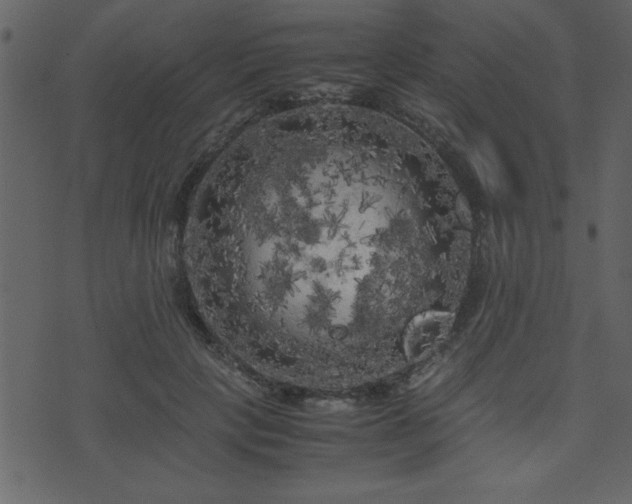 X0000071760649200606301131