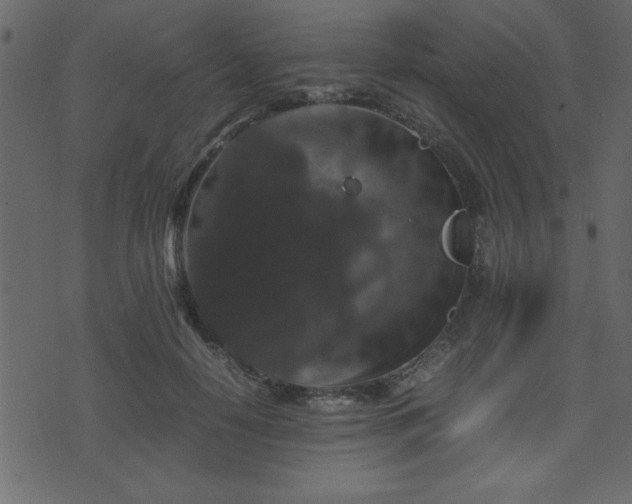 X0000071760650200606301131