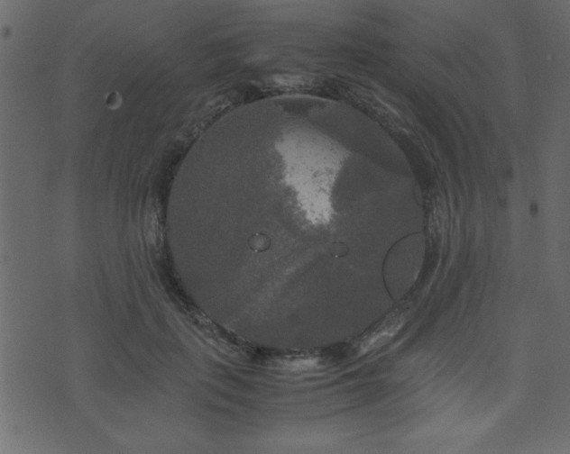 X0000071760651200606301131