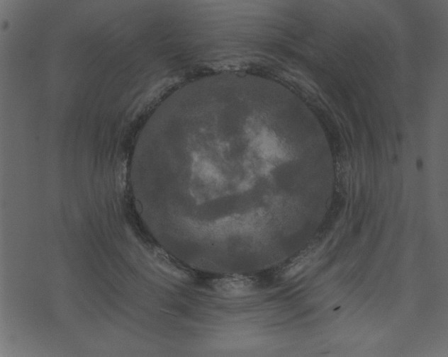 X0000071760652200606301131