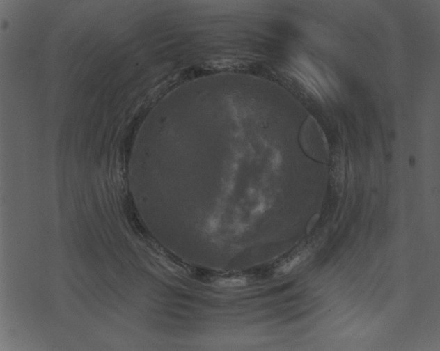 X0000071760653200606301131