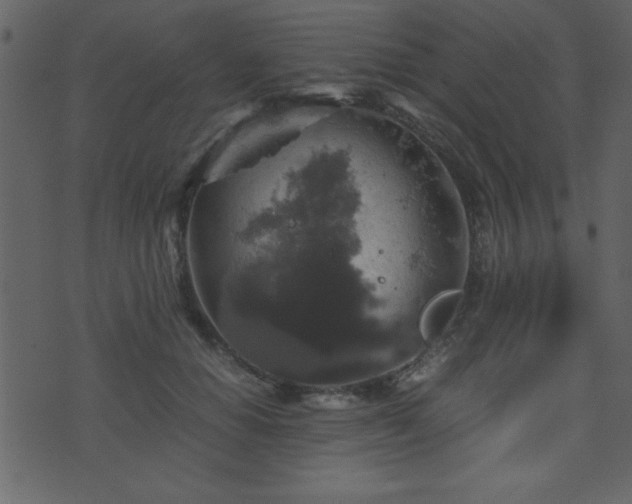 X0000071760654200606301131