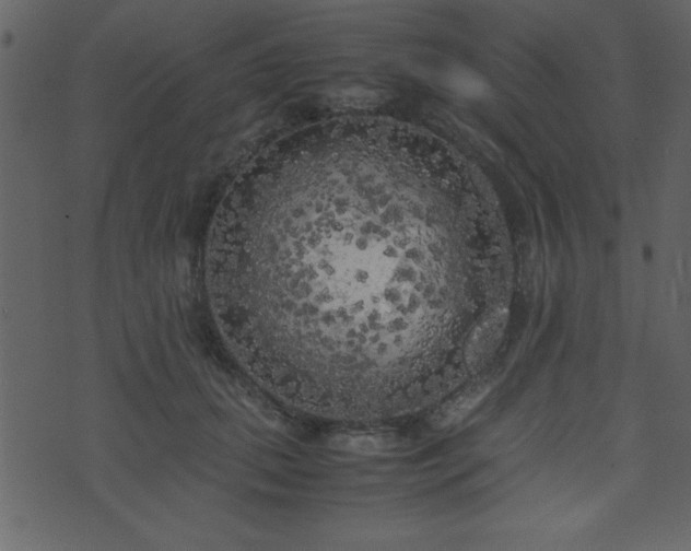 X0000071760655200606301131