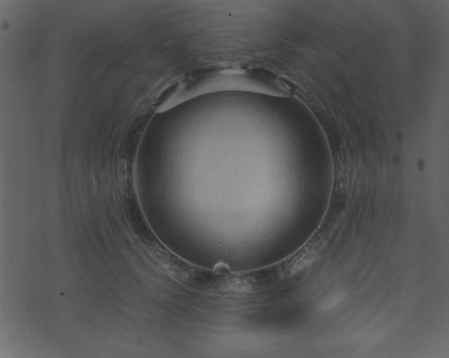 X0000071760656200606301131