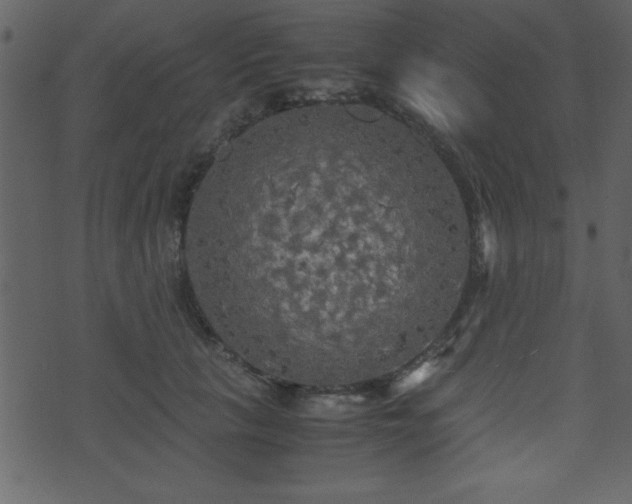 X0000071760657200606301131