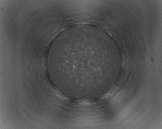 X0000071760658200606301131