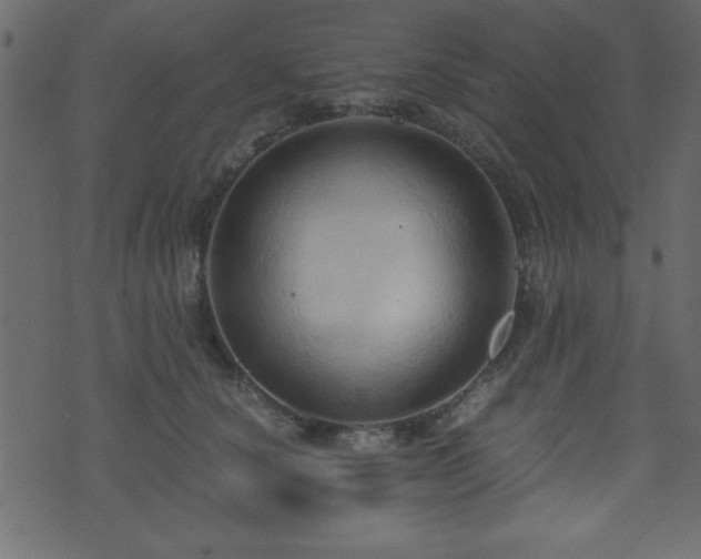 X0000071760660200606301131