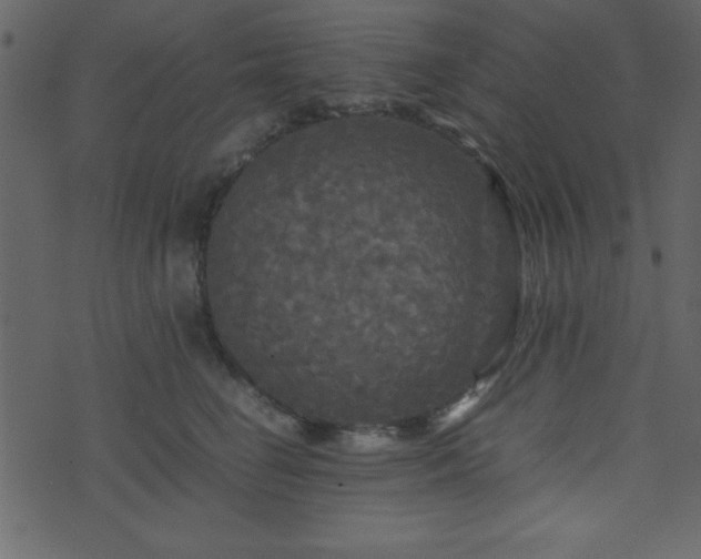 X0000071760662200606301132