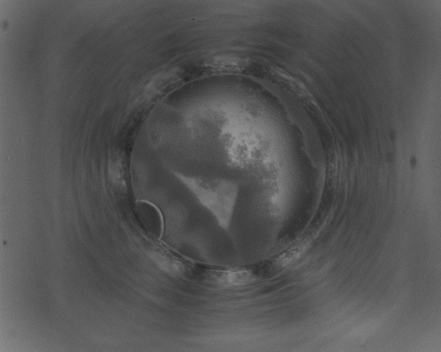 X0000071760663200606301132