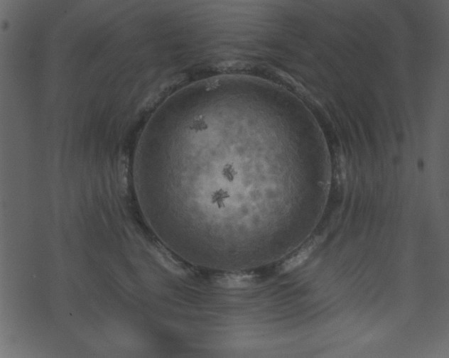 X0000071760664200606301132