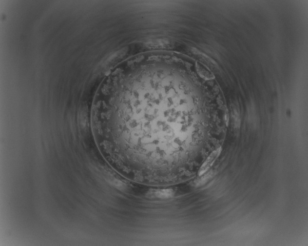 X0000071760665200606301132