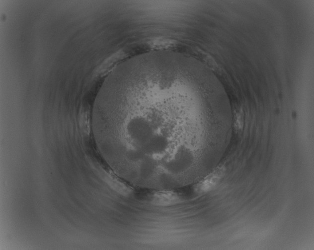 X0000071760666200606301132