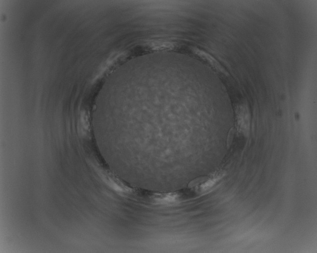 X0000071760667200606301132