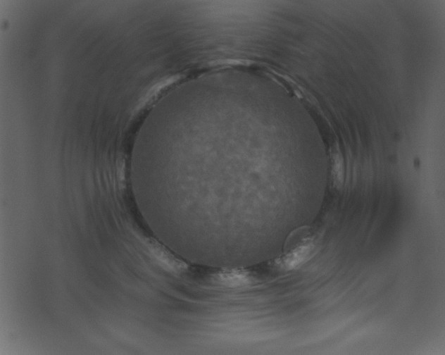 X0000071760668200606301132