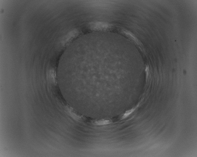 X0000071760669200606301132