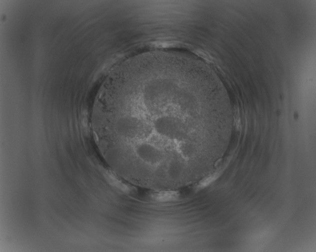 X0000071760670200606301132