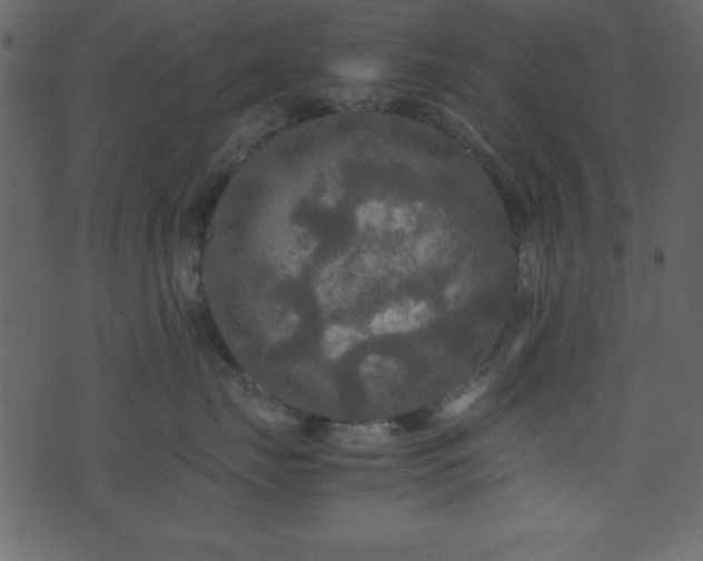 X0000071760671200606301132