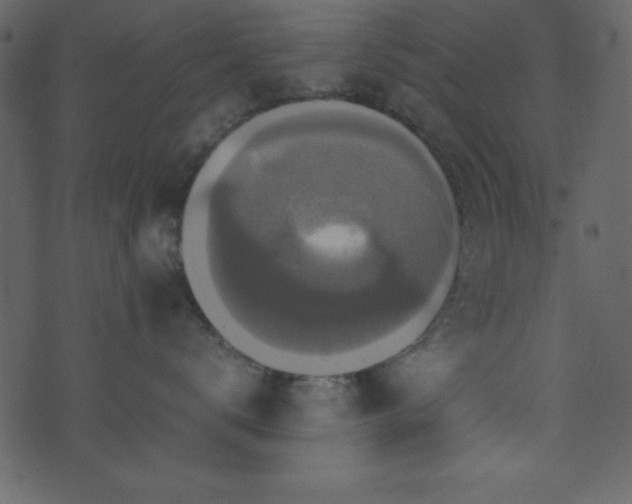 X0000071760672200606301132