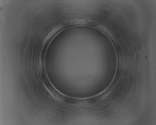 X0000071760674200606301131