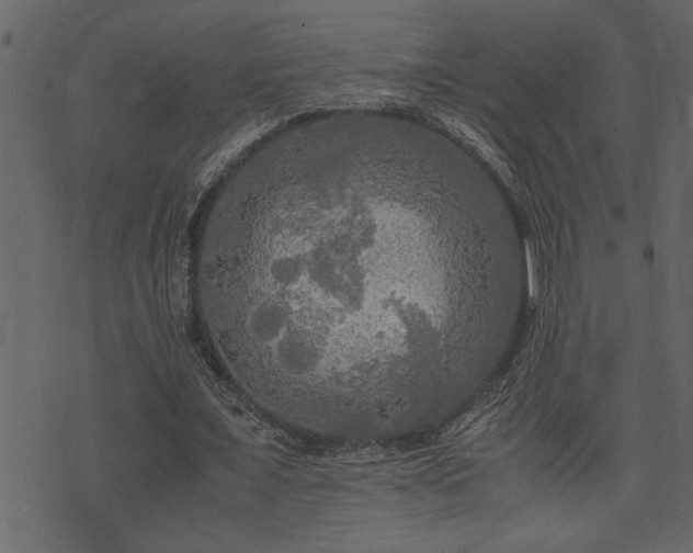 X0000071760675200606301131