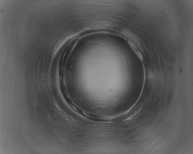 X0000071760676200606301131