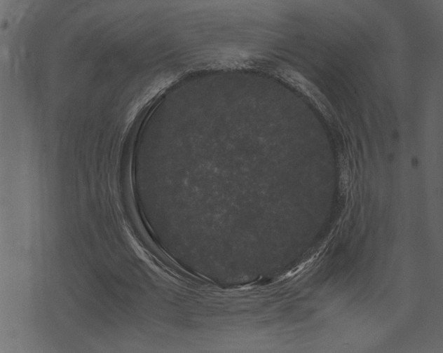 X0000071760677200606301131