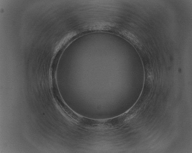 X0000071760678200606301131