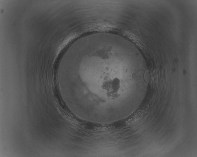 X0000071760679200606301131