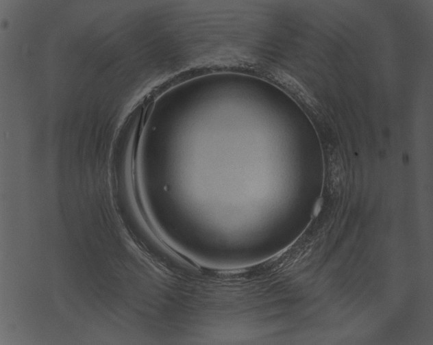 X0000071760680200606301131