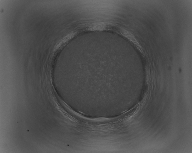 X0000071760681200606301131