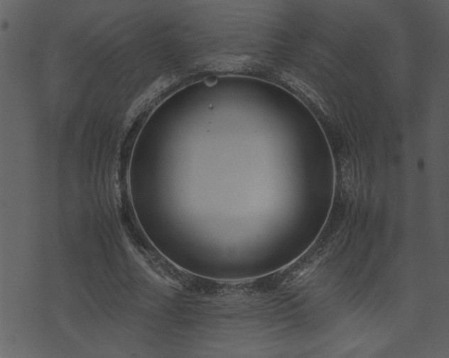 X0000071760682200606301131