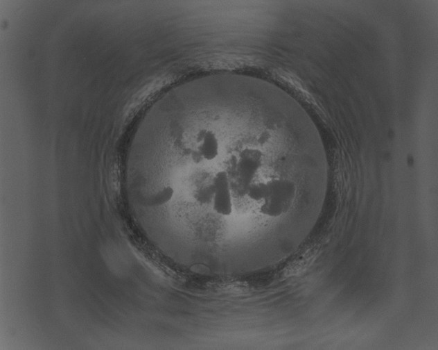 X0000071760683200606301131