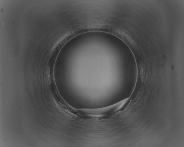 X0000071760684200606301131