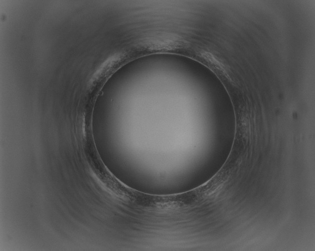 X0000071760686200606301131