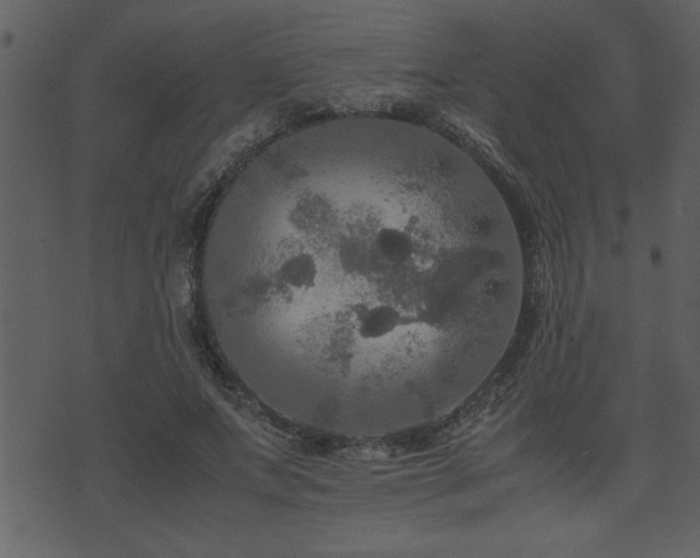 X0000071760687200606301131