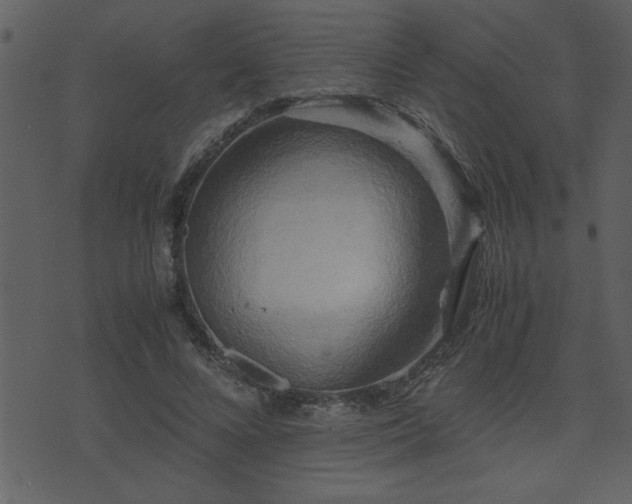 X0000071760688200606301131