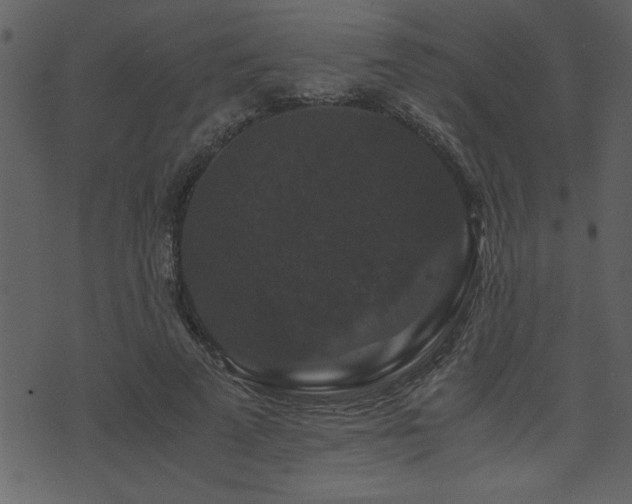 X0000071760689200606301131