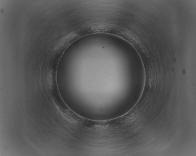 X0000071760690200606301131