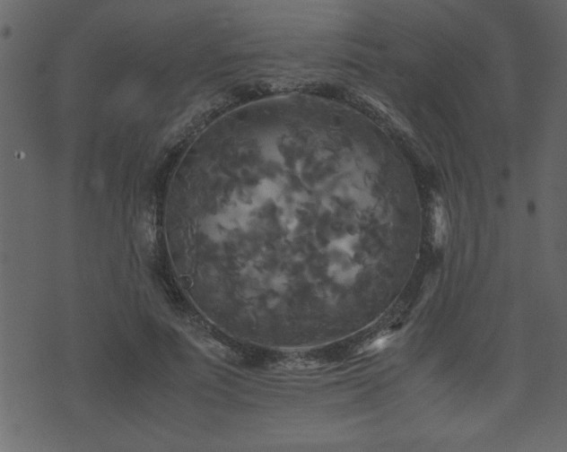 X0000071760691200606301131