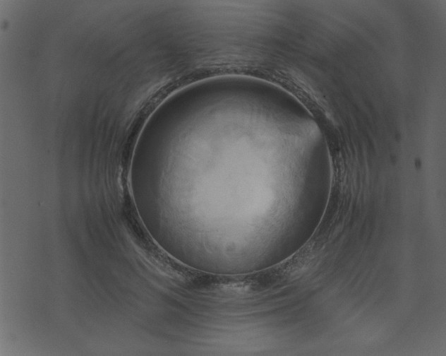 X0000071760692200606301131