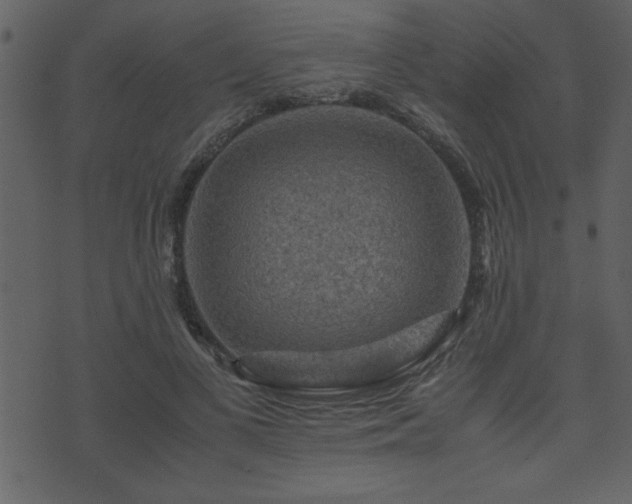 X0000071760693200606301131