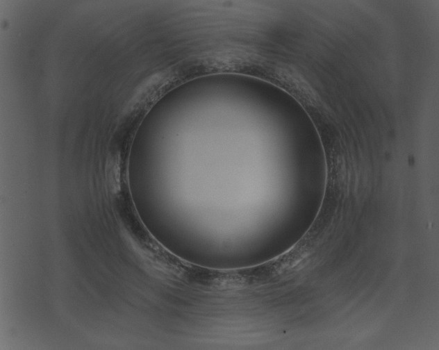 X0000071760694200606301131