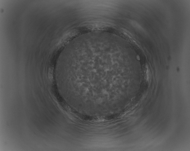 X0000071760695200606301131