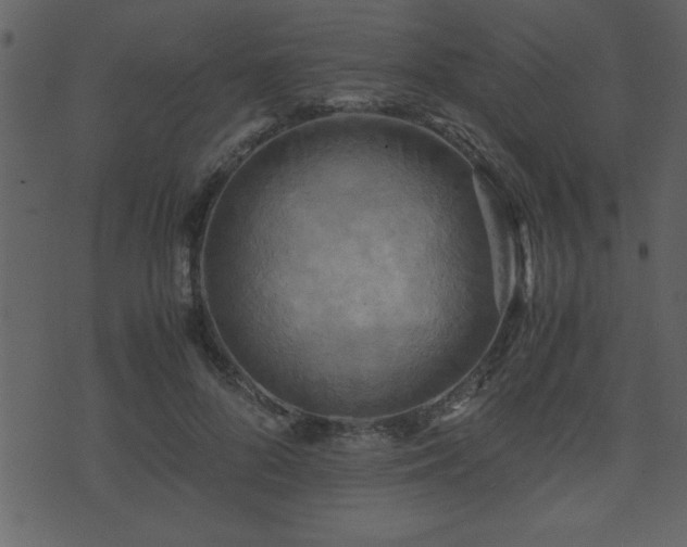 X0000071760696200606301131