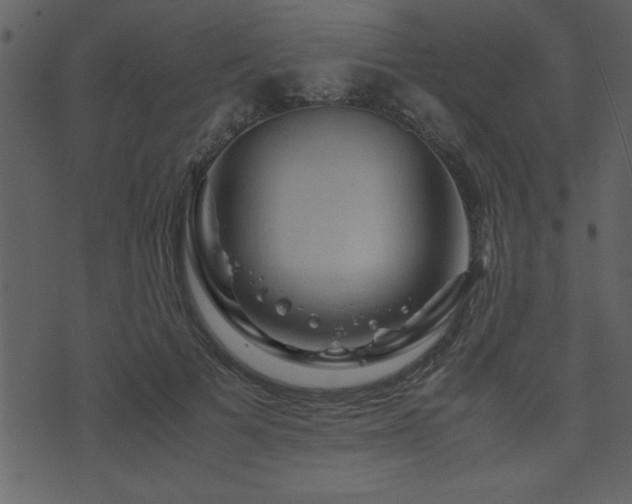 X0000071760697200606301131